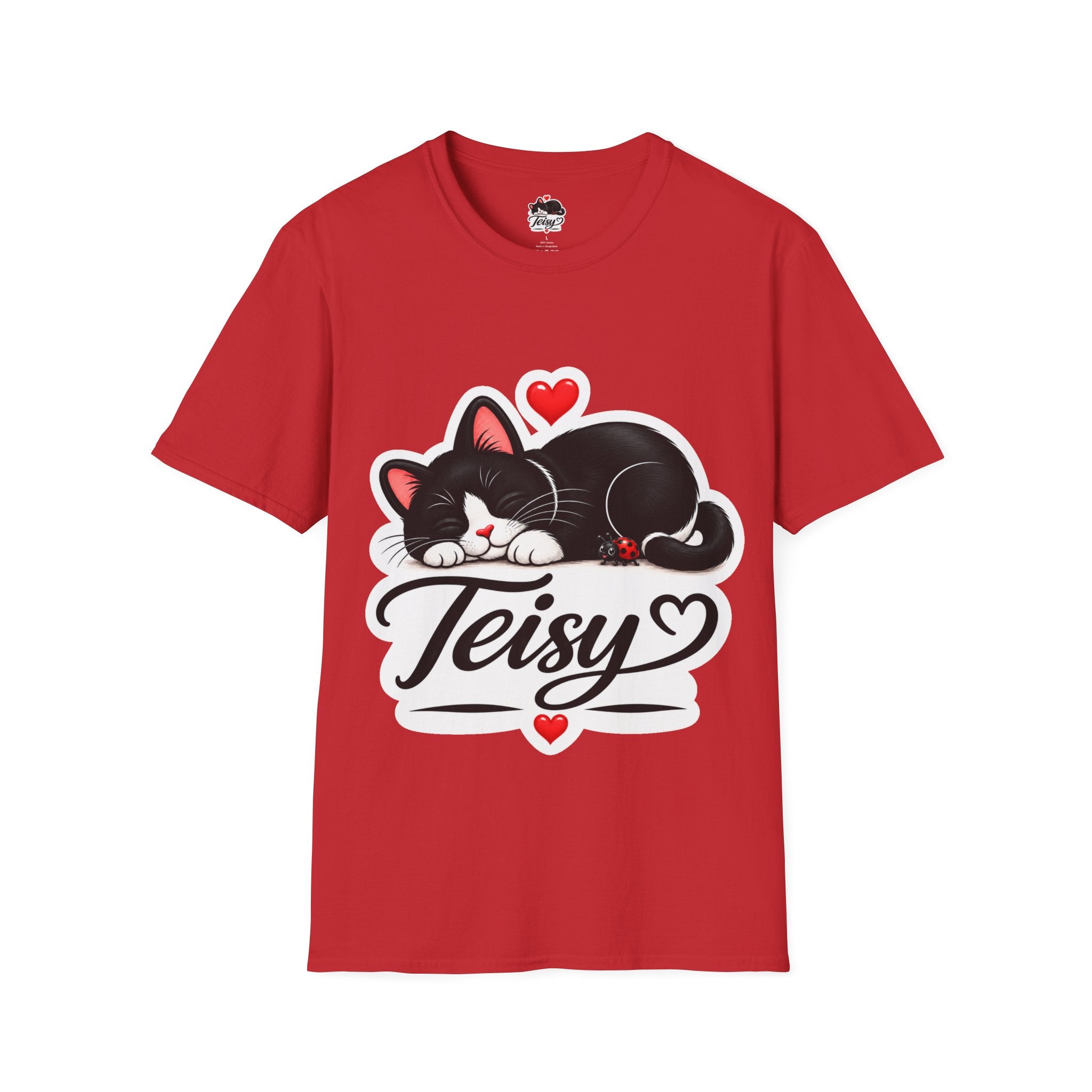 Cat Name T-Shirt — Customizable "Teisy" Sleeping Black Cat with Hearts